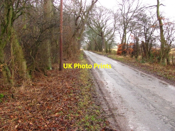 Photo 6"x4" Minor road near Airfield Cousland\/NT3768 c2011