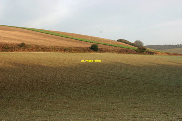 Photo 6"x4" Greenwich Meridian at the lowest point of Cricketing Bottom Telscombe c2011