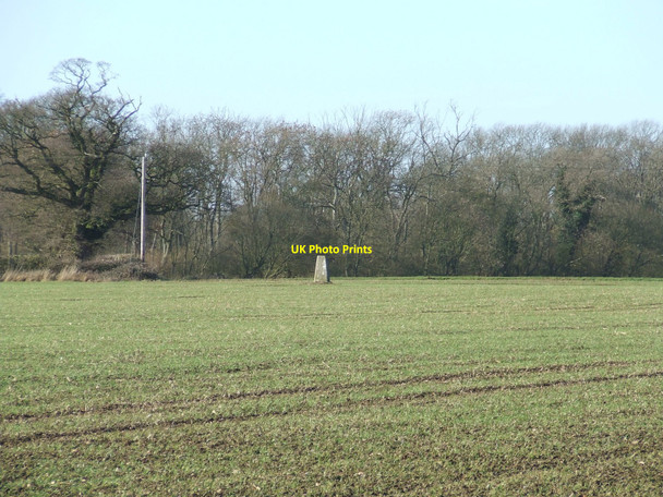 Photo 6"x4" Trig Point Upper Green\/TL7464 c2011