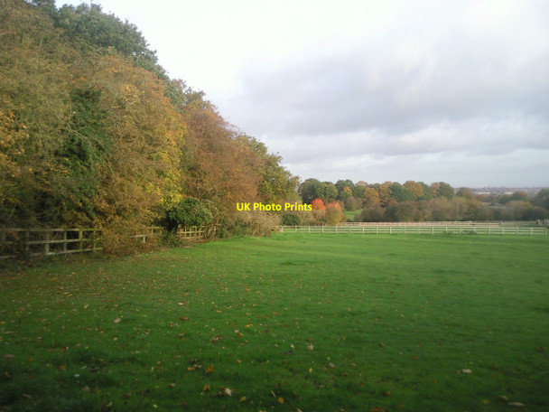Photo 6"x4" Autumn colours near Belmont Lane, Chislehurst Foxbury c2010