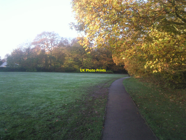 Photo 6"x4" Autumn on the Green Chain Walk at Whytes Woodland, Chislehurst Chislehurst West c2010