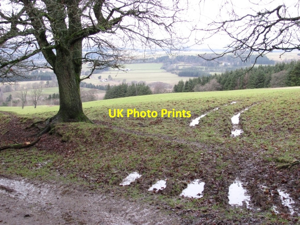 Photo 6"x4" Muddy field, Romanno Bridge Damside\/NT1648 c2011