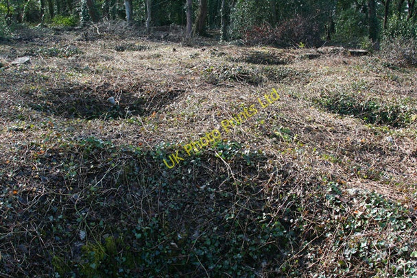 Photo 6"x4" Weston-super-Mare: Worlebury hillfort Weston-super-Mare c2006