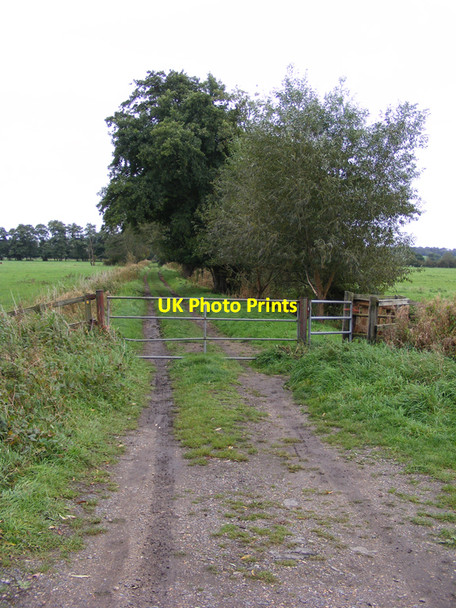 Photo 6"x4" Footpath from Earsham Dam to Earsham Mill Bungay c2010