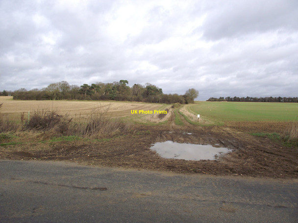 Photo 6"x4" Farmers Track Stowlangtoft c2011