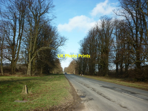 Photo 6"x4" North along The Stray from Rye Hills Farm Coneysthorpe c2011