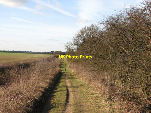Photo 6"x4" North-west on the Roman Road Babraham c2011