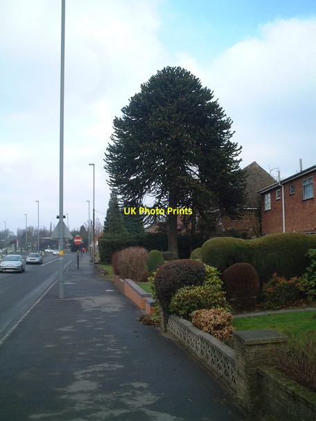 Photo 6"x4" Millpool Hill Brandwood End c2011