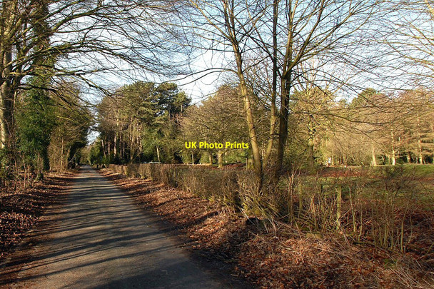 Photo 6"x4" Marbury Lane Anderton\/SJ6475 c2011