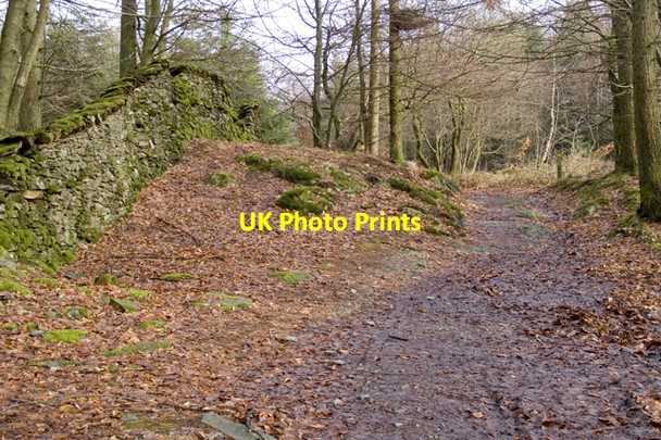 Photo 6"x4" Bridleway on Breasty Haw Force Mills c2011