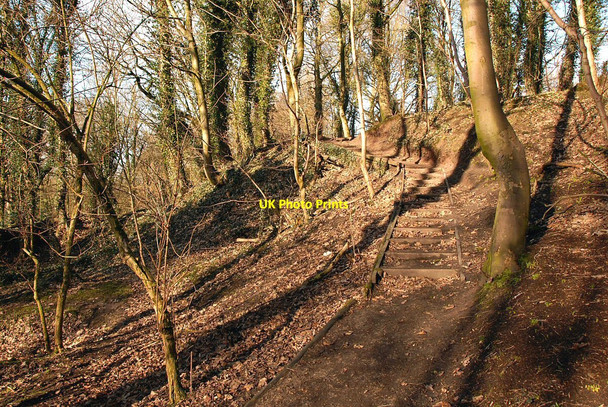 Photo 6"x4" Steps on the hillside Anderton\/SJ6475 c2011