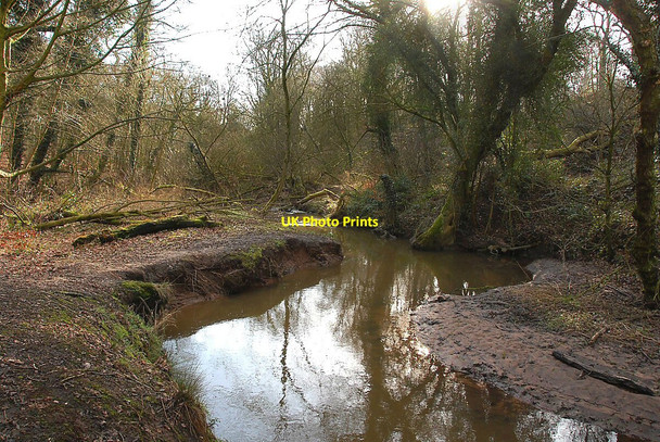 Photo 6"x4" Cogshall Brook Anderton\/SJ6475 c2011