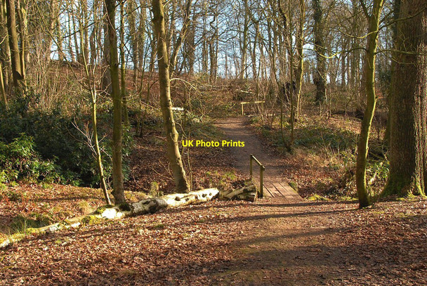Photo 6"x4" Hillside Path Anderton\/SJ6475 c2011