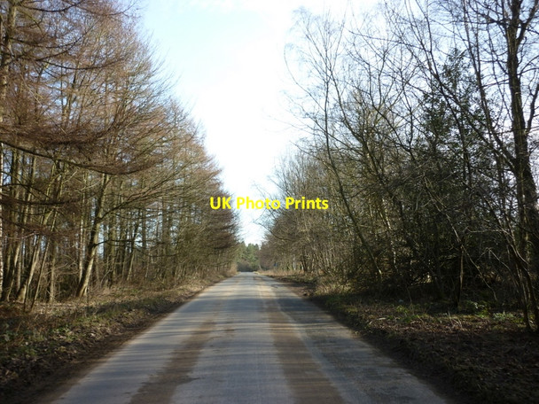 Photo 6"x4" Yearsley Moor, north of Yearsley, North Yorkshire Yearsley c2011