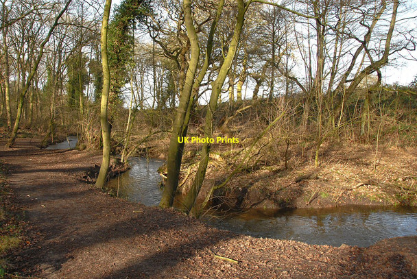 Photo 6"x4" Forge Brook Great Budworth c2011