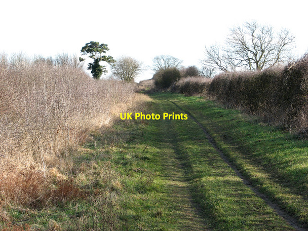 Photo 6"x4" On the Roman Road in February Little Abington c2011