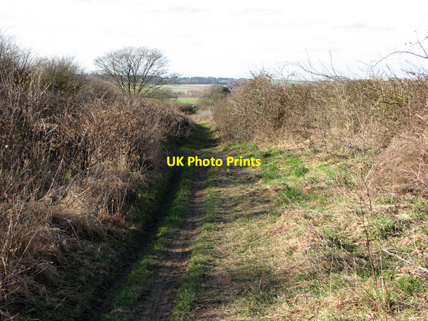Photo 6"x4" Roman Road: downhill towards the A11 Little Abington c2011