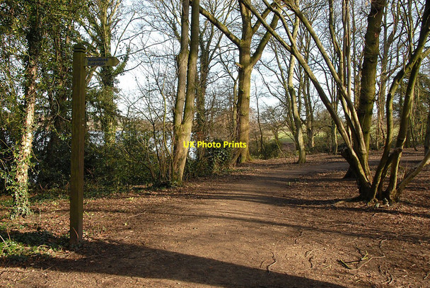 Photo 6"x4" Footpath and Signpost Anderton\/SJ6475 c2011