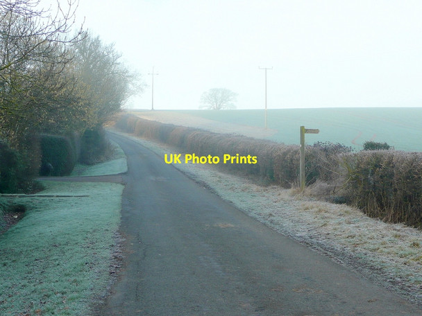 Photo 6"x4" Lane to Swinley Cold Elm c2011