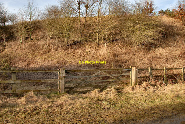 Photo 6"x4" Five Barred Gate Northwich c2011