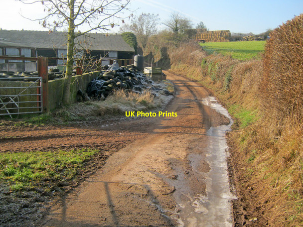 Photo 6"x4" Lane at Ballingham Court Farm Ballingham c2011