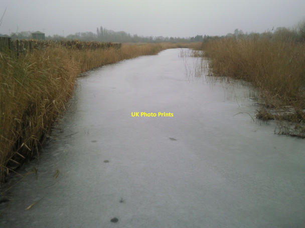 Photo 6"x4" Frozen lake at the London Wetland Centre Barnes c2010