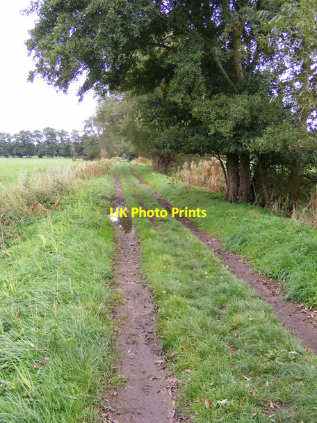 Photo 6"x4" Footpath across the marshes Bungay c2010