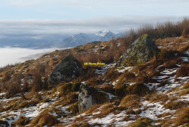 Photo 6"x4" Meall Liath na Doire south slopes Meall Liath na Doire c2010