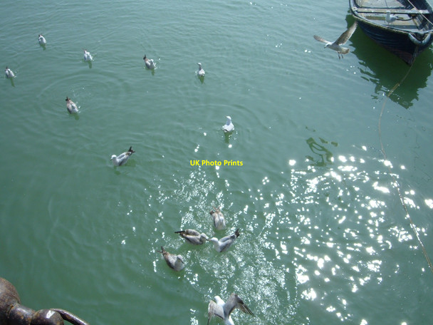 Photo 6"x4" Folkestone harbour Folkestone c2009