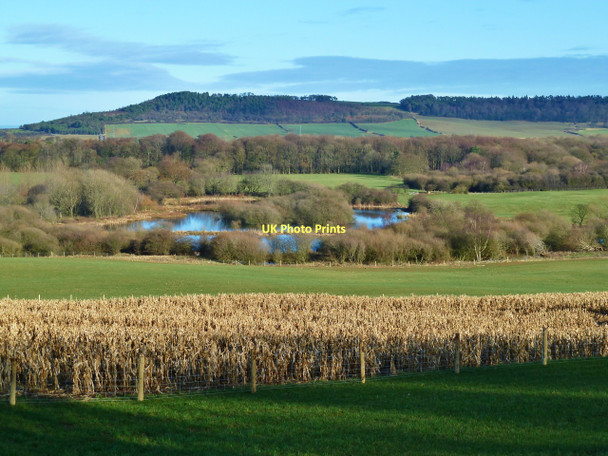 Photo 6"x4" Ponds near Dunsdale farm Dunsdale\/NZ6018 c2011