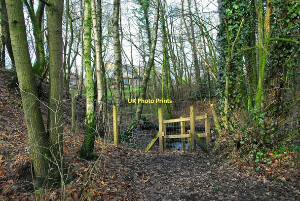 Photo 6"x4" House through the trees Little Scotland c2011