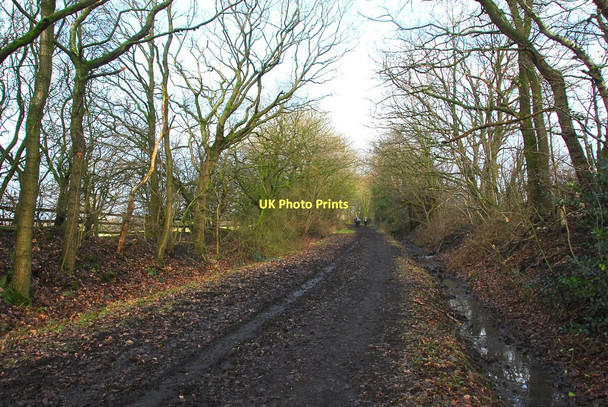Photo 6"x4" Former railway line Adlington\/SD6013 c2011