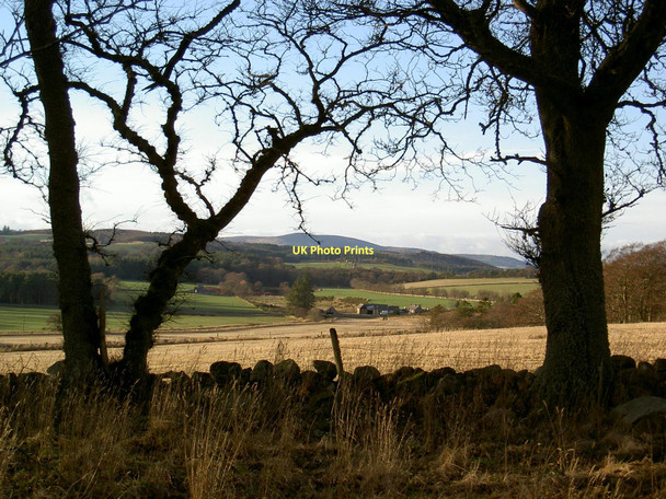 Photo 6"x4" View to Wantonwells & Dunecht estate Dunecht c2003