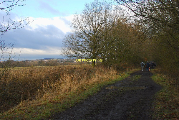 Photo 6"x4" Muddy path Adlington\/SD6013 c2011