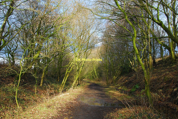 Photo 6"x4" Path along former railway line Adlington\/SD6013 c2011