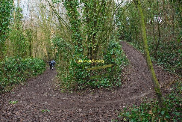 Photo 6"x4" Hairpin bend Adlington\/SD6013 c2011