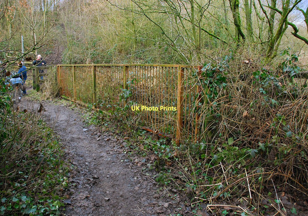 Photo 6"x4" Footbridge over the river Douglas Adlington\/SD6013 c2011