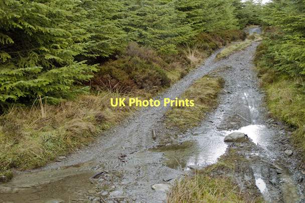 Photo 6"x4" Low Parkamoor to Satterthwaite bridleway Satterthwaite c2011