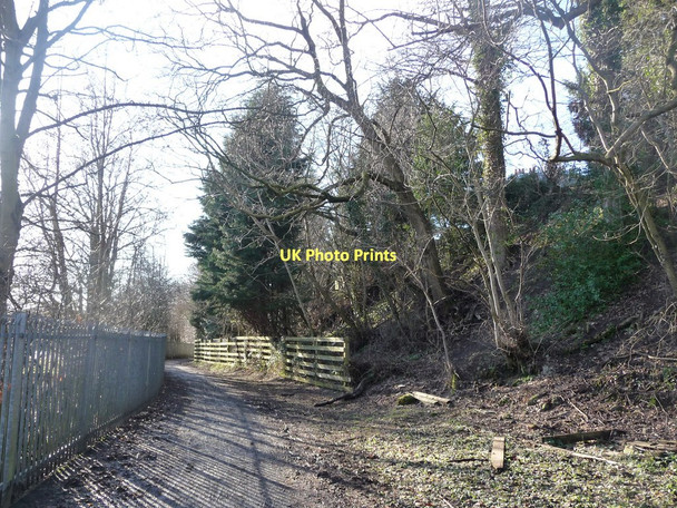Photo 6"x4" The Water of Leith Walkway Balerno c2011