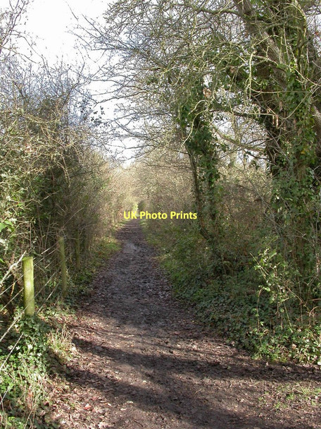 Photo 6"x4" Blashford, Avon Valley Path Ringwood\/SU1505 c2011