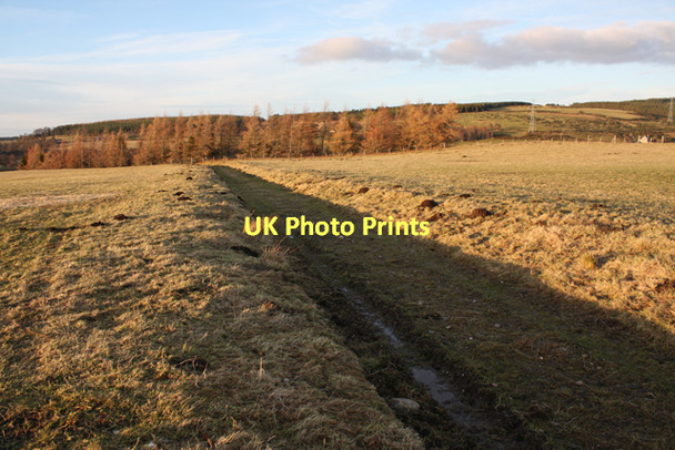 Photo 6"x4" Track through field near Bantrach Falls of Feakirk c2011