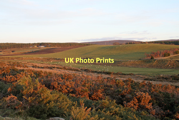 Photo 6"x4" Farmland, Dallasbraughty Carnach\/NJ0048 c2011