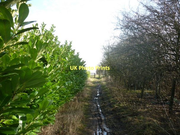 Photo 6"x4" A footpath near Sturton Grange, Garforth Garforth c2011