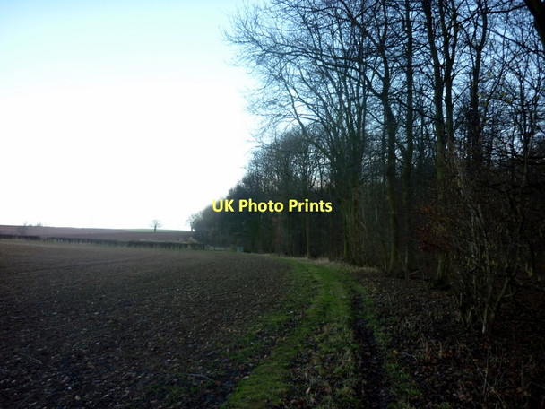 Photo 6"x4" A footpath alongside Huddleston Old Wood Newthorpe\/SE4732 c2011