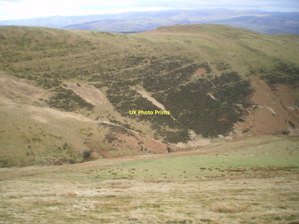 Photo 6"x4" Across the valley of the Afon Alice Pennal c2011
