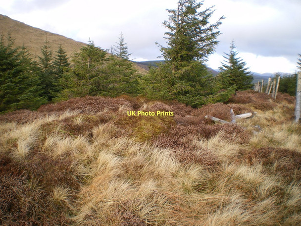 Photo 6"x4" The summit of Foel y Geifr Pantperthog c2011