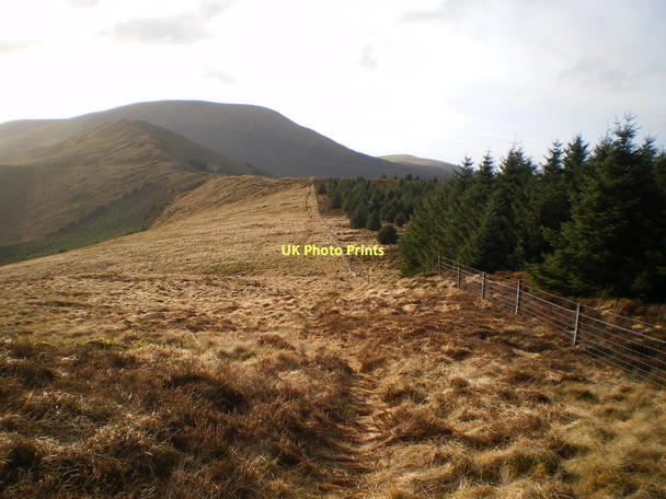 Photo 6"x4" Down the ridge of Foel y Geifr Pantperthog c2011