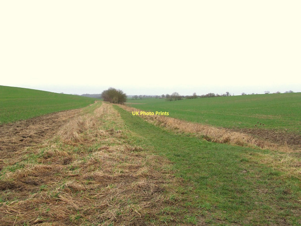 Photo 6"x4" Clear Footpath Naughton c2011