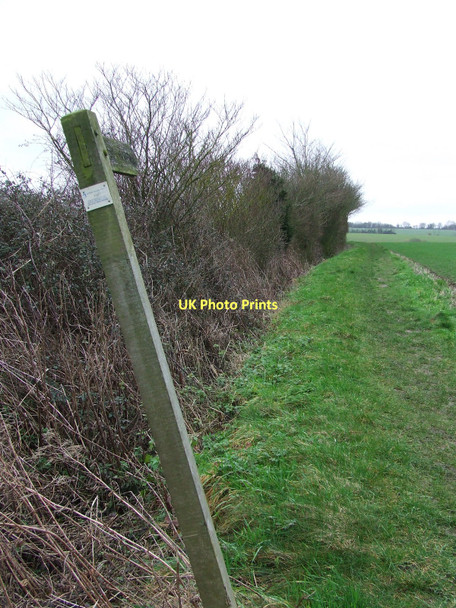 Photo 6"x4" On The Lean Nedging Tye c2011