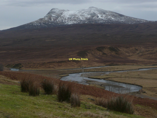 Photo 6"x4" Rushes and bracken above the River Bran Achnasheen\/Achadh na Sine c2011
